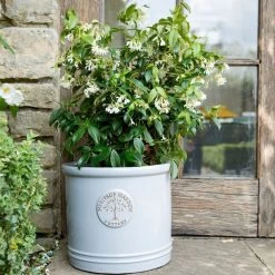 Woodlodge 38cm White / Cream Glazed Heritage Cylinder Pot -Outdoor Garden Care 5021346424430