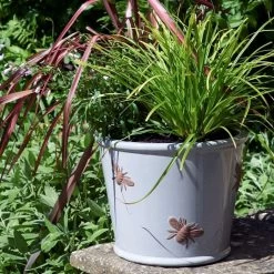 Woodlodge 38cm Green Bee Planter -Outdoor Garden Care 5021346434620 2