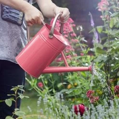 Smart Garden 9 Litre Galvanised Steel Watering Can -Outdoor Garden Care 5050642047210 2