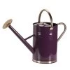 Smart Garden 9 Litre Violet Metal Watering Can -Outdoor Garden Care 5050642069991 bb1d1b4b 5c00 4767 bfda a5c5e02a4125