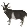 Vivid Arts 29cm Standing Goat- XRL-GOAT-D -Outdoor Garden Care 5055195017475