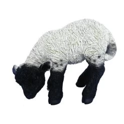 Vivid Arts 31cm Black / White Standing Lamb - XRL-BLLB-D