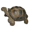 Vivid Arts 27cm Giant Tortoise -XRL-GTRT-D -Outdoor Garden Care 5055195018816