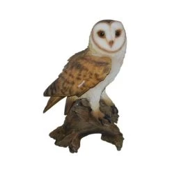 Vivid Arts 36cm Barn Owl - XRL-BARN-B