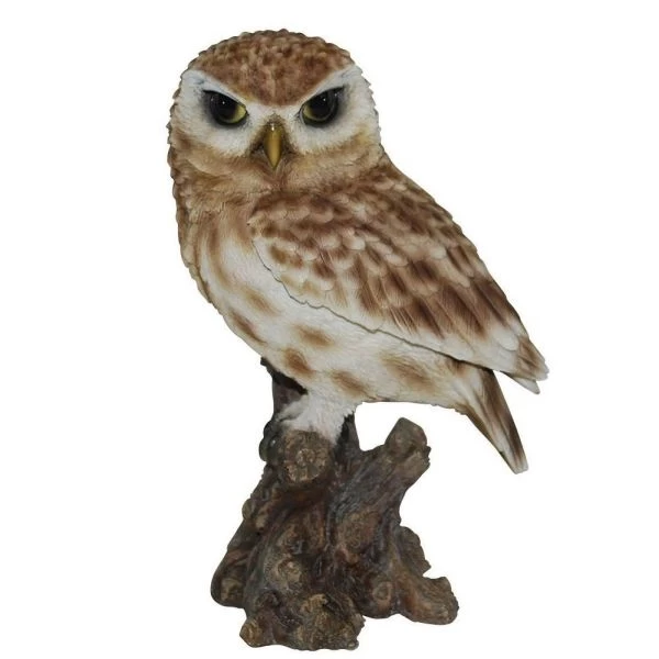 Vivid Arts 22cm Little Owl - XRL-LTWL-D 3 Vivid Arts 22cm Little Owl - XRL-LTWL-D