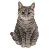 Vivid Arts 30cm Tabby Sitting Cat - XRL-SC33-B -Outdoor Garden Care 5055195020222