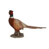 Vivid Arts 52cm Pheasant - XRL-NT04 -Outdoor Garden Care 5055195020789 7ad3e4d2 7c33 4dad b878 58606602649f