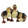 Vivid Arts 23cm Standing Duckling Group - NF-DK26-D 1 Vivid Arts 23cm Standing Duckling Group - NF-DK26-D -Outdoor Garden Care 5055195023674