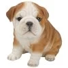 Vivid Arts 19cm Bulldog Puppy Pet Pals - PP-BDOG-F 2 Vivid Arts 19cm Bulldog Puppy Pet Pals - PP-BDOG-F -Outdoor Garden Care 5055195025319
