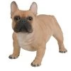 Vivid Arts 50cm Gold French Bulldog - XRL-FRBD-A -Outdoor Garden Care 5055195025616