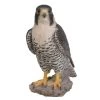 Vivid Arts 25cm Peregrine Falcon - XRL-PFAL-B