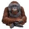 Vivid Arts 25cm Orangutan - XRL-ORAN-D 2 Vivid Arts 25cm Orangutan - XRL-ORAN-D -Outdoor Garden Care 5055195027399