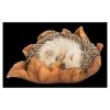 Vivid Arts Baby Hedgehog Sleeping On Leaf XRL-HH09-F -Outdoor Garden Care 5055195037596