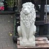 The Stone Studio Lion Looking Right 2 The Stone Studio Lion Looking Right -Outdoor Garden Care 5060044990106