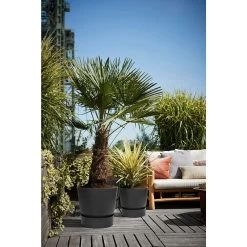 Elho 25cm Living Black Greenville Round Planter -Outdoor Garden Care 8711904332334 5