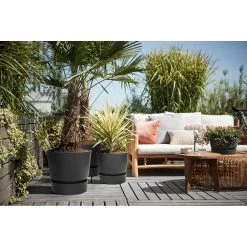 Elho 30cm Living Black Greenville Round Planter -Outdoor Garden Care 8711904332358 4