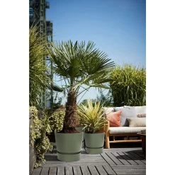Elho 25cm Leaf Green Greenville Round Planter -Outdoor Garden Care 8711904332433 4