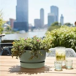 Elho 33cm Leaf Green Greenville Bowl Planter 10 Elho 33cm Leaf Green Greenville Bowl Planter -Outdoor Garden Care 8711904332464 4