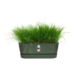 Elho 70cm Living Concrete Greenville Trough Long -Outdoor Garden Care 8711904357764 4