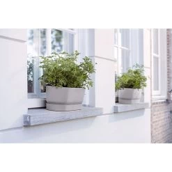 Elho 50cm Living Concrete Greenvillle Long Trough Planter -Outdoor Garden Care 8711904358440 4